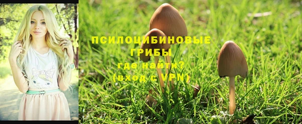 гашик Абинск